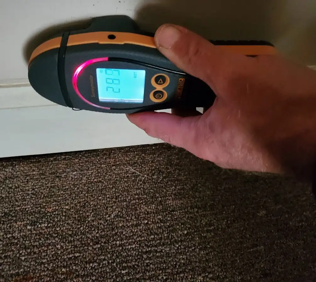 Moisture detection at baseboard during Sewage Cleanup & Sanitation in Mission